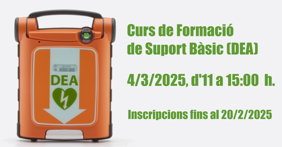 Curs de Formaci de Suport Bsic (DEA)